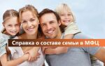 Справка о составе семьи в МФЦ