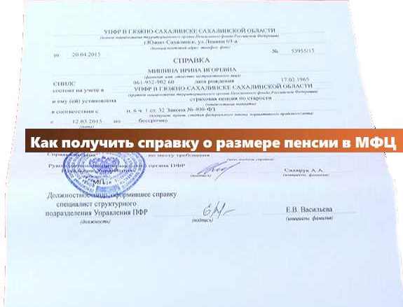 Справка о назначенных пенсиях и социальных выплатах образец